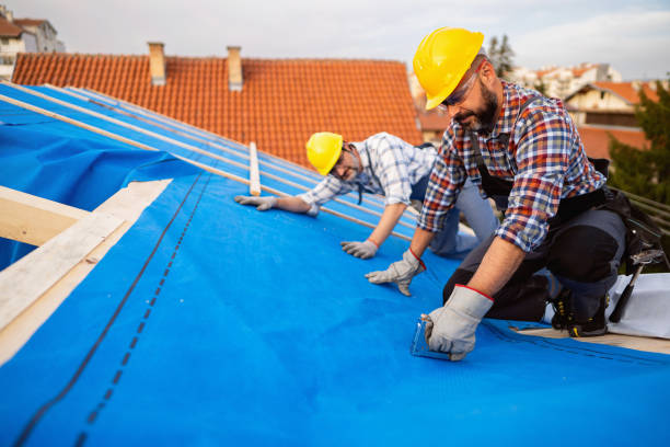 Best Roof Maintenance Services  in Tonganoxie, KS