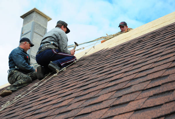 Best Roof Repair Services  in Tonganoxie, KS